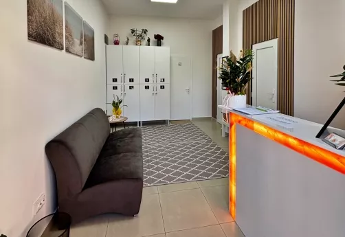 фоайе на солна стая в дружба - salthug